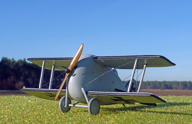 dfw t28 floh - 1